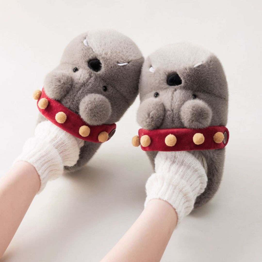 Fluffy - Sharky